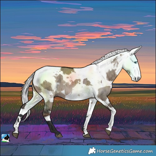 Horse Color:Brown Dun Harlequin Merle Brindle