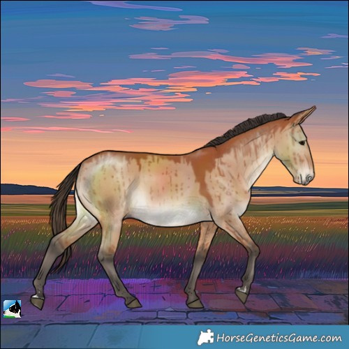 Horse Color:Bay Dun Brindle 