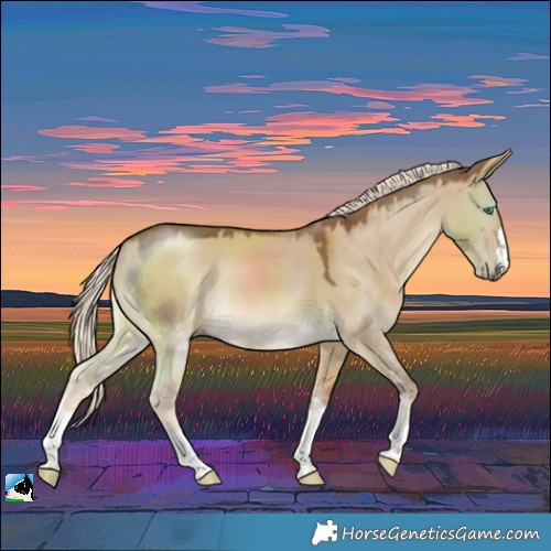 Horse Color:Chocolate Palomino Dun Rabicano 