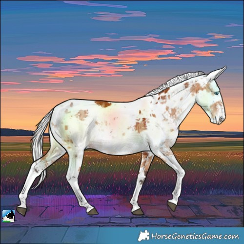 Horse Color:Bay Dun Harlequin Merle Sabino Rabicano Brindle 
