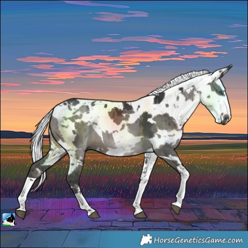 Horse Color:Grullo Harlequin Merle Brindle 