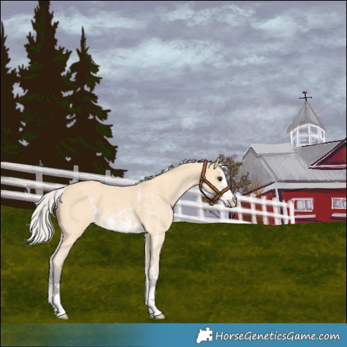 Horse Color:Silver Buckskin Sabino
