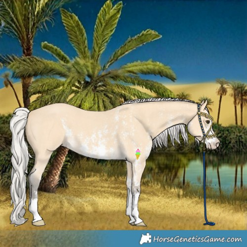 Horse Color:Silver Buckskin Sabino 