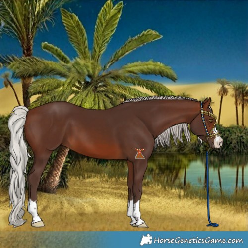 Horse Color:Silver Brown
