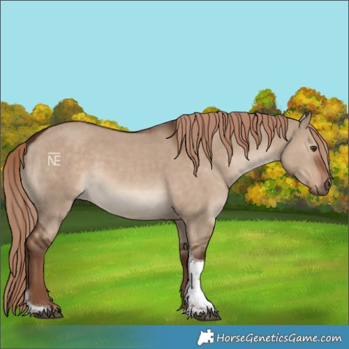Horse Color:Liver Red Dun Tobiano 