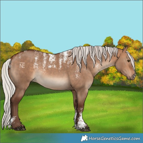 Horse Color:Powder White Silver Bay Dun