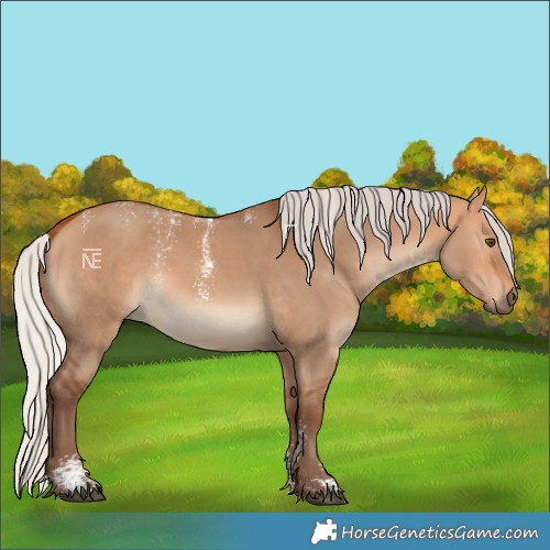 Horse Color:Powder White Silver Bay Dun