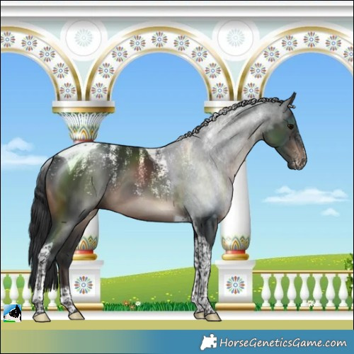 Horse Color:Powder White Brown Tobiano