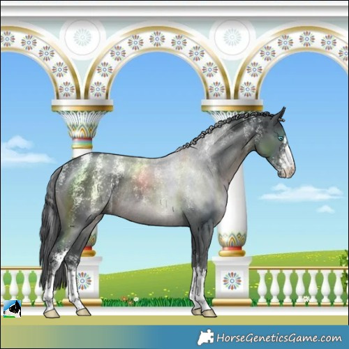 Horse Color:Powder White Black Merle Rabicano 
