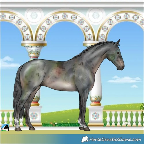 Horse Color:Brown Merle Tobiano