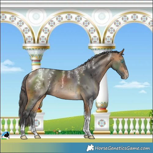 Horse Color:Powder White Buckskin Merle Tobiano Rabicano 