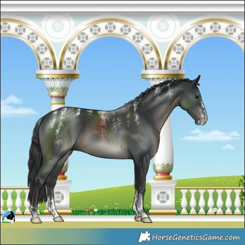 Horse Color:Powder White Black