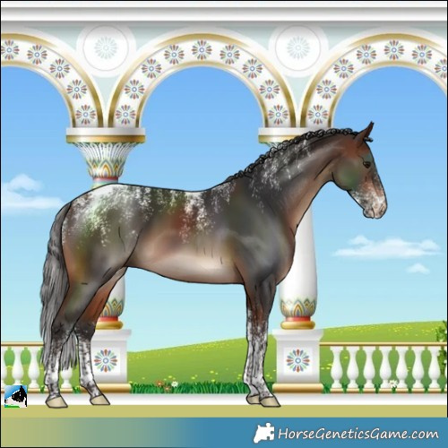 Horse Color:Powder White Brown