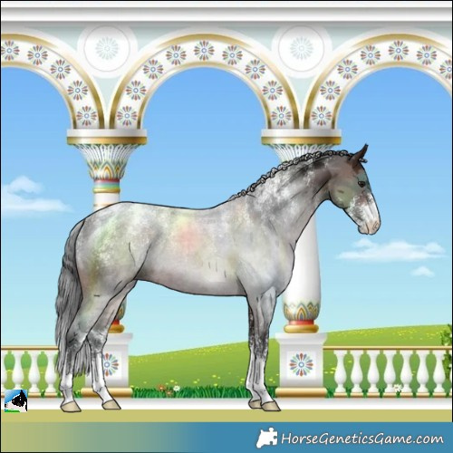 Horse Color:Powder White Brown Merle 