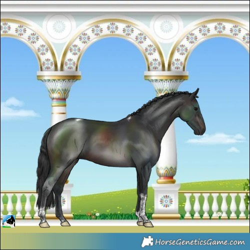 Horse Color:Brown Tobiano 