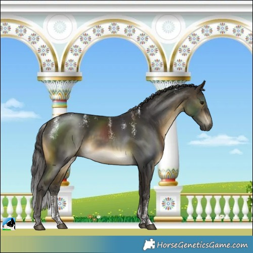 Horse Color:Powder White Buckskin