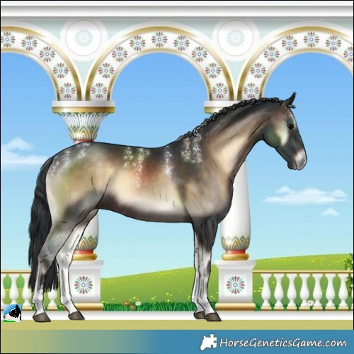 Horse Color:Powder White Brown Onyx Tobiano