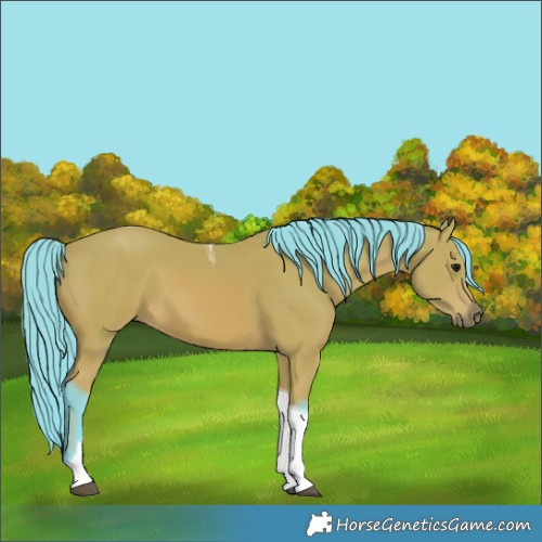 Horse Color:Watercolor Bay Tobiano