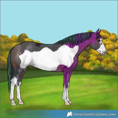 Horse Color:Painted White Spotted Brown Ice Frame 