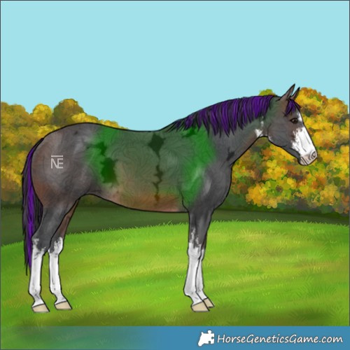 Horse Color:Painted White Spotted Brown Ice