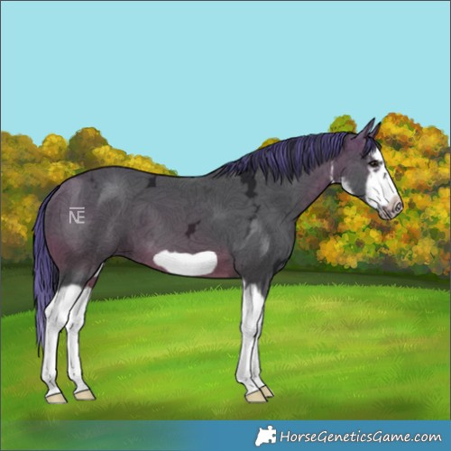Horse Color:Painted White Spotted Bay Ice Splash Frame