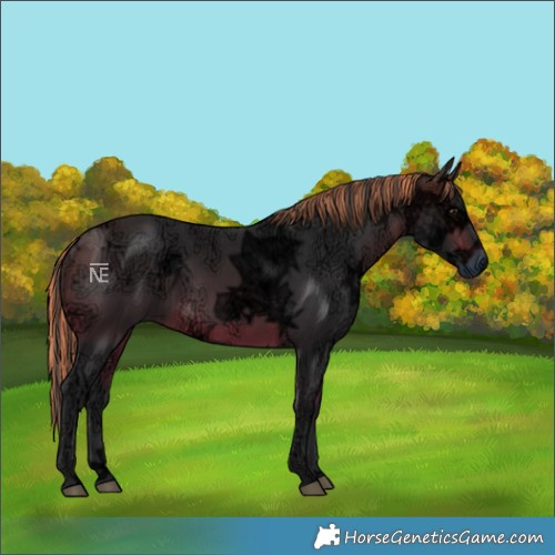 Horse Color:Painted Brown Ice 