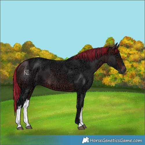 Horse Color:Painted White Spotted Brown Ice 