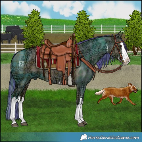 Horse Color:Painted Plaid White Spotted Liver Red Dun Ice Splash