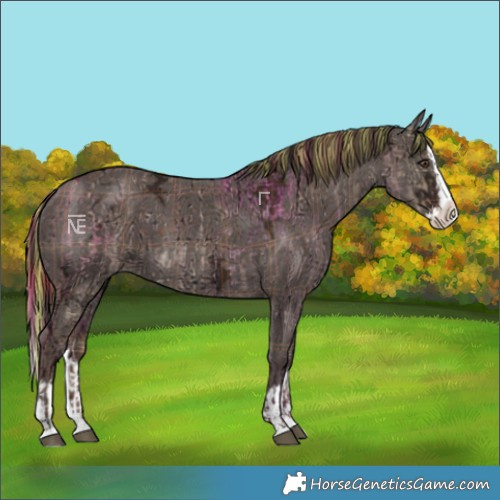 Horse Color:Painted Plaid Liver Red Dun Ice Splash and Painted Plaid Liver Chestnut Ice Splash