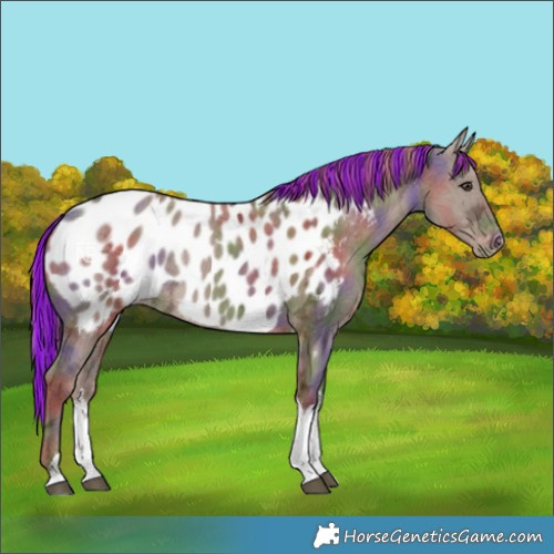 Horse Color:Painted Nacre White Spotted Liver Red Dun Ice Blanket 