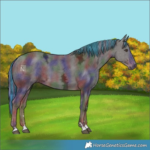 Horse Color:Painted Nacre Liver Chestnut Ice