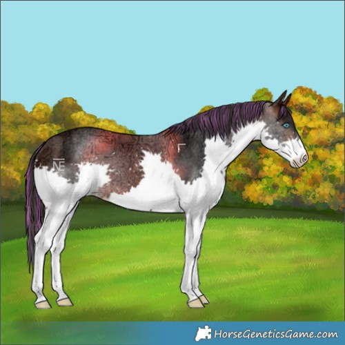 Horse Color:Painted Brown Ice Splash