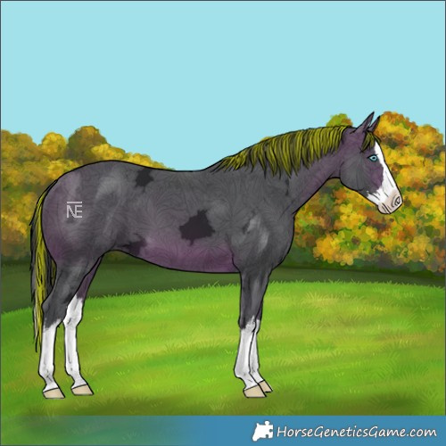 Horse Color:Painted White Spotted Brown Ice Splash