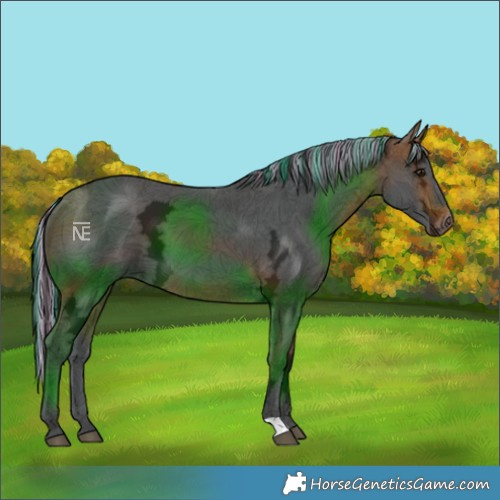 Horse Color:Painted Bay Ice 