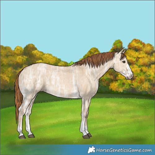 Horse Color:Red Dun Ice 