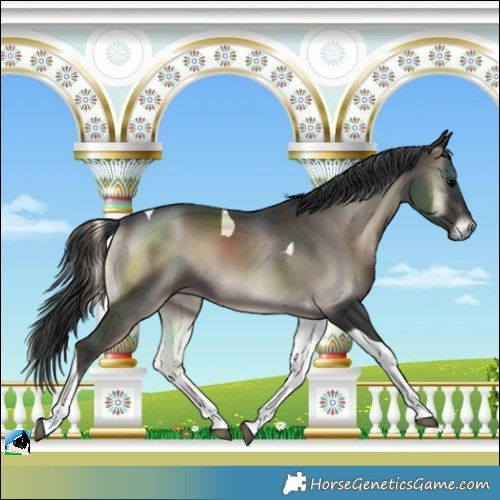 Horse Color:Blue Onyx Tobiano 
