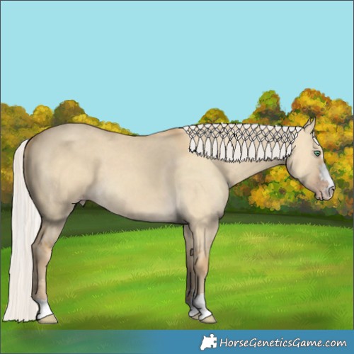 Horse Color:Silver Classic Cream Champagne Dun