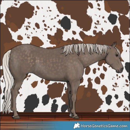 Horse Color:Silver Black 