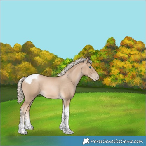 Horse Color:Chocolate Palomino Pearl Tobiano