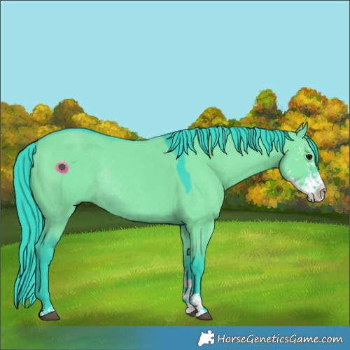 Horse Color:Watercolor Grullo Sabino Rabicano 
