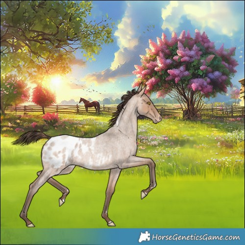 Horse Color:Amber Champagne Roan Blanket 