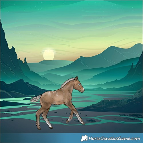 Horse Color:Powder White Gray Silver Buckskin Splash