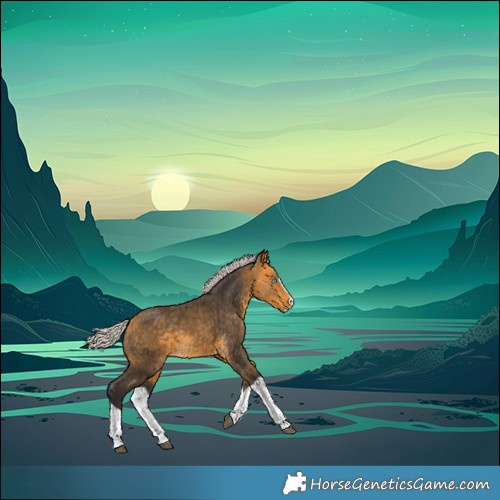 Horse Color:Silver Buckskin Splash