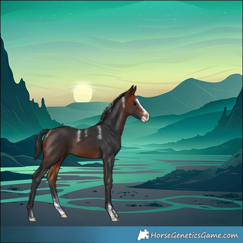 Horse Color:Powder White Bay Splash Rabicano