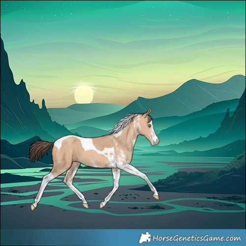 Horse Color:White Spotted Amber Champagne Tobiano