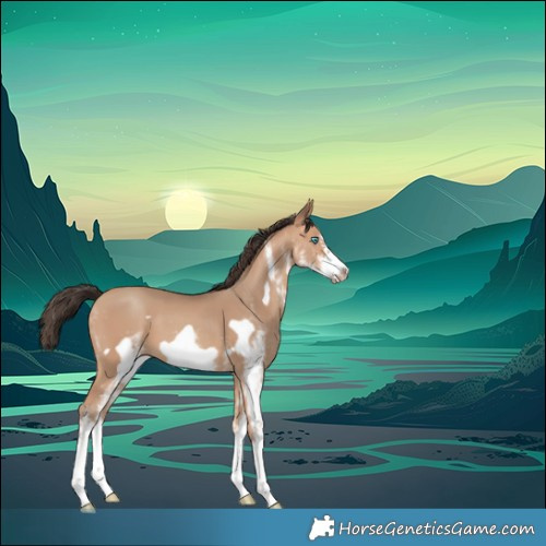 Horse Color:White Spotted Amber Champagne Frame