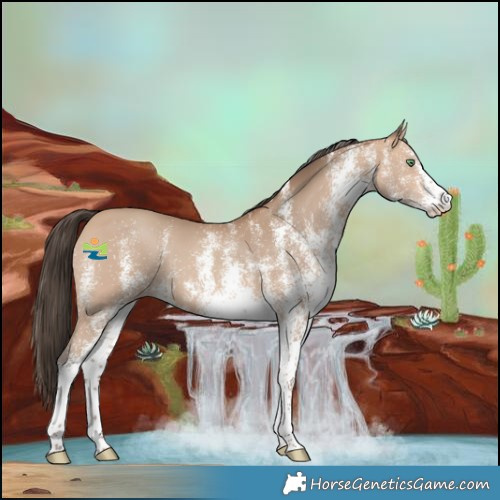 Horse Color:White Spotted Amber Champagne 