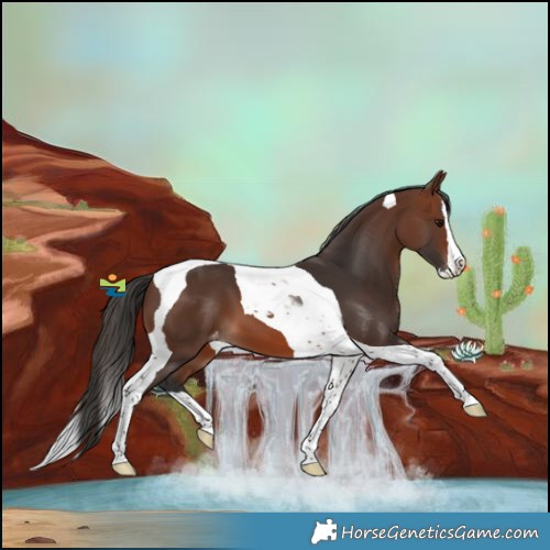 Horse Color:Brown Splash Tobiano Varnish 