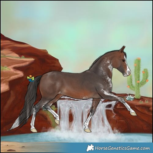 Horse Color:White Spotted Brown Splash Varnish 