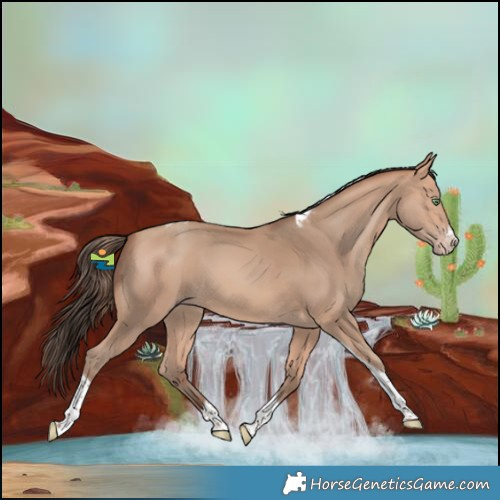 Horse Color:Amber Champagne Tobiano Frame 